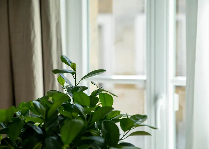 Bayreuthome - Ambiente-apartment Im Gassenviertel דירה