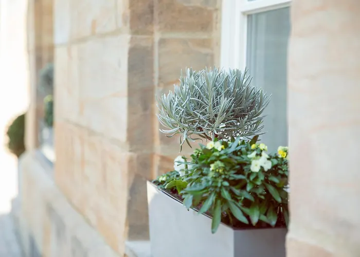 דירה Bayreuthome - Ambiente-apartment Im Gassenviertel באיירוט